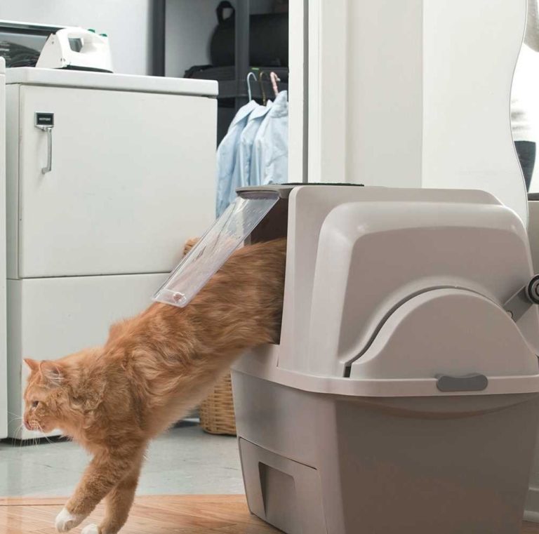 Catit SmartSift Litter Box-kattetoalett