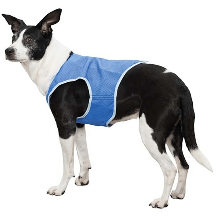 Kjølevest hund