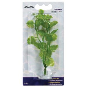 Plastplante Cardamine Mini 10cm med sugekopp