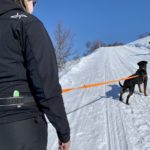 Alac magebelte med elastiske bånd