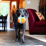 Chuckit! Indoor Ball Plysj ball