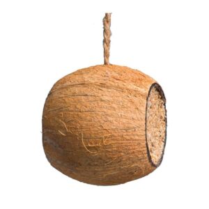 Kokosnøtt med talg og frø