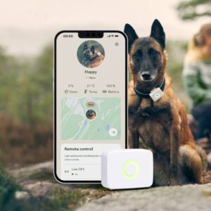 Lildog aktivitet og GPStracker hund