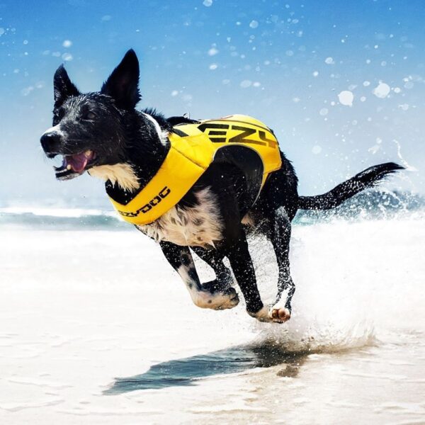 Ezydog Flytevest Boost til hund