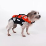 Ezydog flytevest Micro