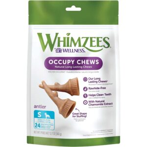 Whimzees Occupy Dental i pose