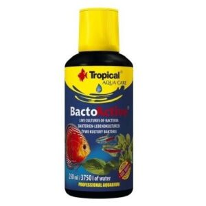 Tropical Bacto Active
