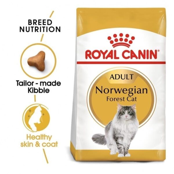 Royal Canin Norwegian Forest cat