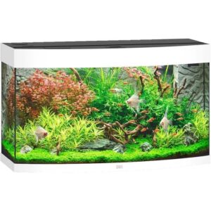 Juwel Buet Akvarium LED Vision 180 92x41x55cm