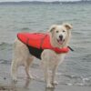 Ozami flytevest hund