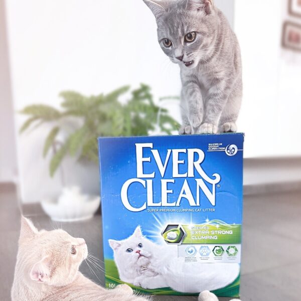 Ever Clean Extra Strong Clumping Scented