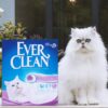 Ever Clean Lavender Kattesand 10 L