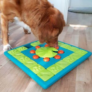 Nina Ottosson Dog Multipuzzle