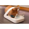 Surefeed Microchip PetFeeder