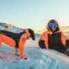 Non-Stop Dogwear Protector Snow - Snødrakt Heldress til hund