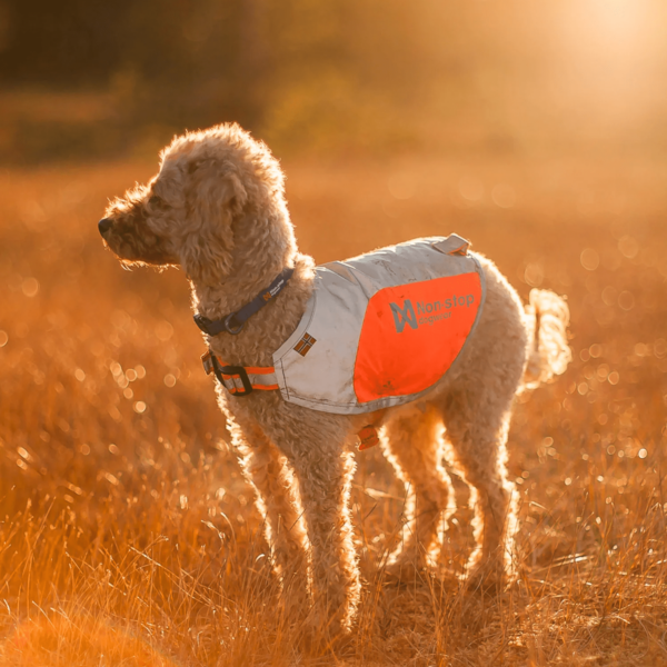 Non-Stop Dogwear Refleksdekken Refleksvest Hund