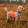 Non-Stop Dogwear Refleksdekken Refleksvest Hund