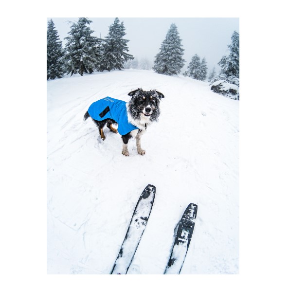 Non-Stop Dogwear Blest Jacket Lett Vinterdekken Primaloft