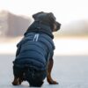 CATAGO FIR-Tech puffer hundedekken